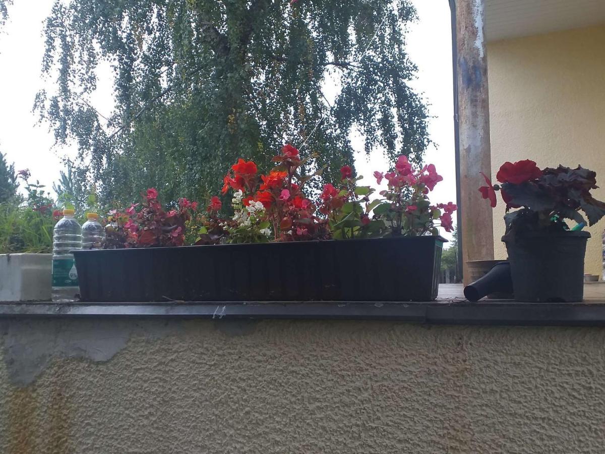Guest House Pechersky & Sons Dreilini  Ngoại thất bức ảnh